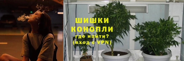 стафф Белокуриха