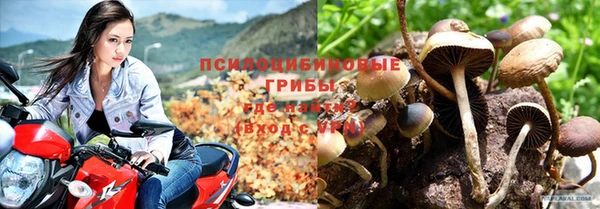 стафф Белокуриха