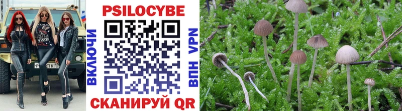 Галлюциногенные грибы Psilocybine cubensis  Купить закладки  Лениногорск 